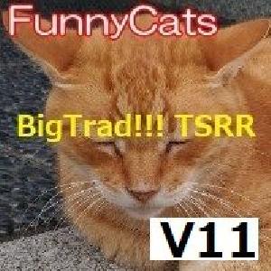 FC_BigTrad!!!_TSR_R 自動売買