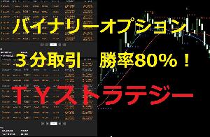 ３分バイナリー勝率80パーセントの手法【TYストラテジー】シグナル＆裁量 インジケーター・電子書籍