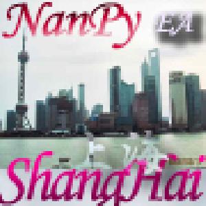 ＮａｎｐｙＳｈａｎｇＨａｉ 自動売買