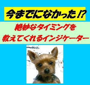 今までになかった！？絶妙なタイミングを教えてくれるインジケーター インジケーター・電子書籍