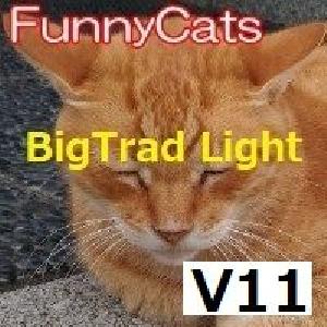 FC_BigTrad_Light 自動売買