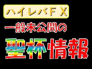 ハイレバFXで絶対破産せずに勝てる方法【一般未公開の投資手法】 インジケーター・電子書籍