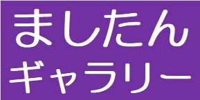 ましたんギャラリーアイキャッチ.jpg