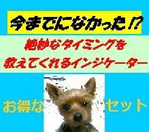 【お得なセット】今までになかった！？絶妙なタイミングを教えてくれるインジケータ―、プラス！！ インジケーター・電子書籍