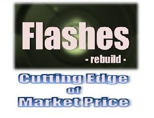 Flashes -rebuild- 自動売買