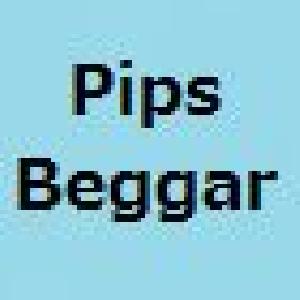 Pips Beggar 自動売買