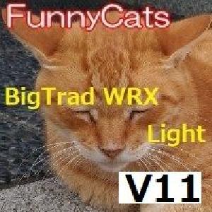 FC_BigTrad_WRX_Light_A/C  自動売買