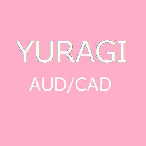 Yuragi AUDCAD 自動売買