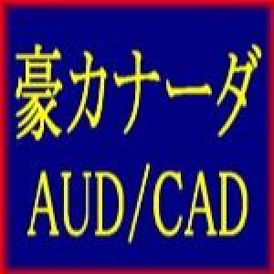 豪カナーダ AUDCAD 自動売買