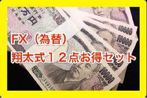 FX（為替）翔太式１２点お得セット【聖杯常勝トレードスキル継承プログラム】目から鱗が落ちまくるぐらい相当価値のある特典をさらにたくさん追加しました（本物のテクニカル分析＝裁量トレードノウハウの真髄） インジケーター・電子書籍