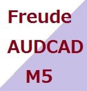 Freude_AUDCAD_M5 自動売買