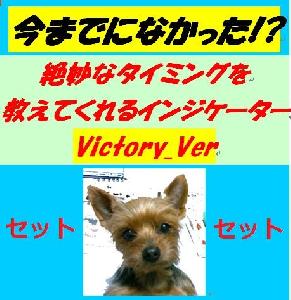 お得なセット【新インジケーターVictory.verも入ったチョーお得な4点セット】 インジケーター・電子書籍