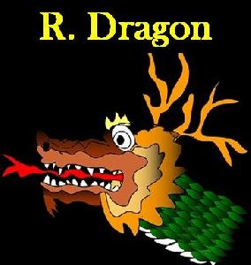 R.Dragon 自動売買