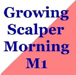 Growing_Scalper_Morning_M1 自動売買