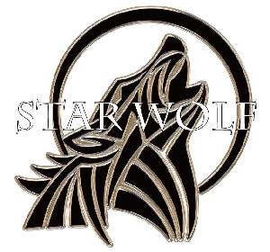 Star Wolf 自動売買