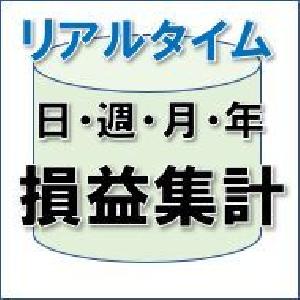 リアルタイム損益集計「ResultSummary」 インジケーター・電子書籍