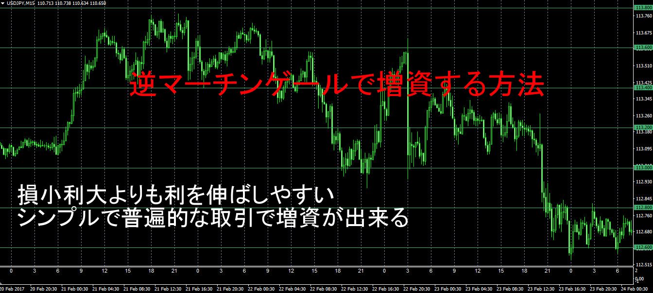 逆マーチンゲールを使って増資する画期的な方法 インジケーター・電子書籍