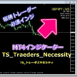 トレード中に見たいデーターをチャート上に表示！TS_Traeders_Necessity（TSトレーダーズネセシティ）MT4用 インジケーター・電子書籍