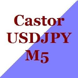 カストル USDJPY M5 自動売買