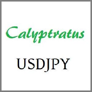 Calyptratus USDJPY 自動売買