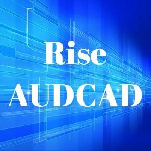 Rise AUDCAD 自動売買