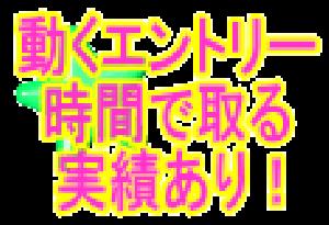 FXとバイナリーオプションのエントリー時間＆ポイント狙い撃ち教えます。 インジケーター・電子書籍