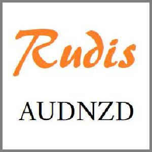 Rudis AUDNZD 自動売買