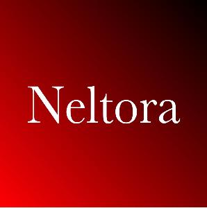 Neltora-ネルトラ- 自動売買