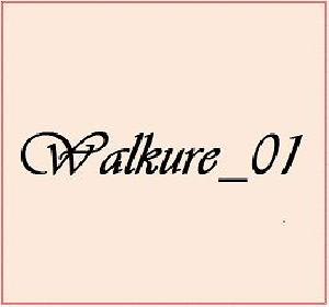 Walkure_01 自動売買