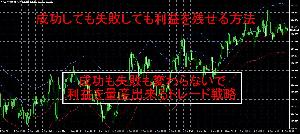 成功しても失敗しても利益を残せる方法 インジケーター・電子書籍