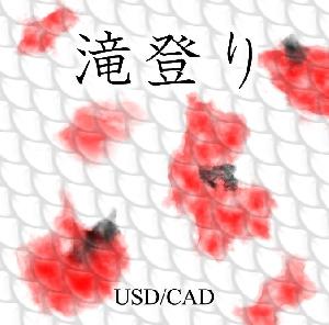 滝登り USDCAD refined 自動売買