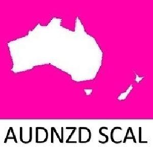 AUDNZD SCAL c-edition ซื้อขายอัตโนมัติ