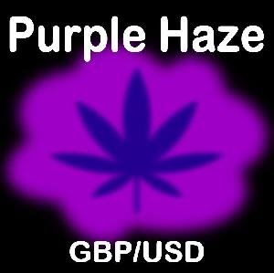 Purple Haze GBPUSD 自動売買