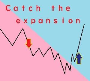 Catch the Ｅxpansion【7/24迄ご利用可能版】 インジケーター・電子書籍