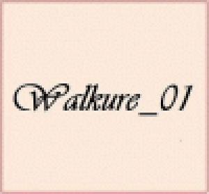 Walkure_01(優待） 自動売買