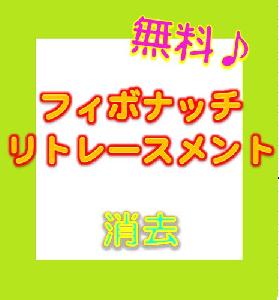 フィボナッチ・リトレースメント　消去 インジケーター・電子書籍