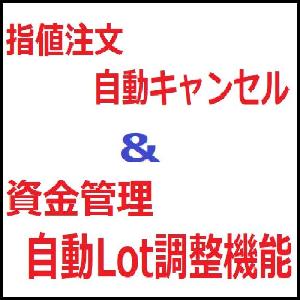 【ダウ理論】指値自動キャンセル＆自動ロット調整 インジケーター・電子書籍