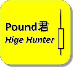 Pound君 Hige Hunter インジケーター・電子書籍