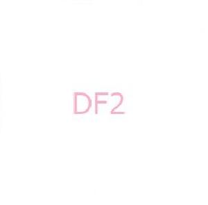 DF2 自動売買