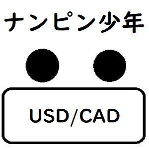 ナンピン・ボーイ・ドルカナ 自動売買