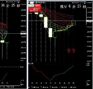 ニコ星くん-ST5min forUSDJPY インジケーター・電子書籍