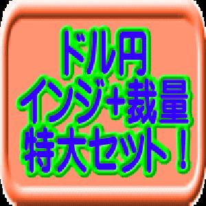 FX・バイナリー対応、USDJPYインジケーター+裁量セット商品 インジケーター・電子書籍