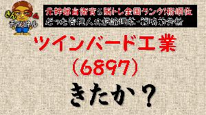 【株式投資・テクニカル分析】仕手株？超論理的思考でツインバード工業の値動きを分析した件 インジケーター・電子書籍