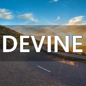 DIVINE 自動売買