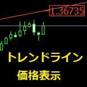 TrendLinePrice（トレンドライン価格表示） インジケーター・電子書籍