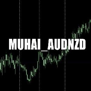 MUHAI_AUDNZD 自動売買