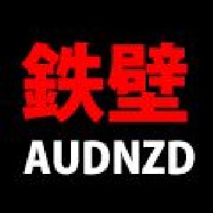 Teppeki AUDNZD 自動売買