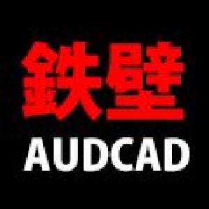 Teppeki AUDCAD 自動売買