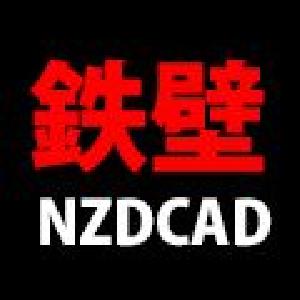 Teppeki NZDCAD 自動売買