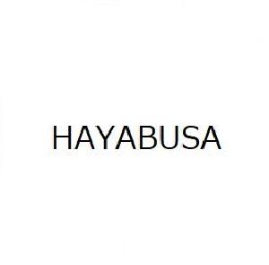 HAYABUSA 自動売買